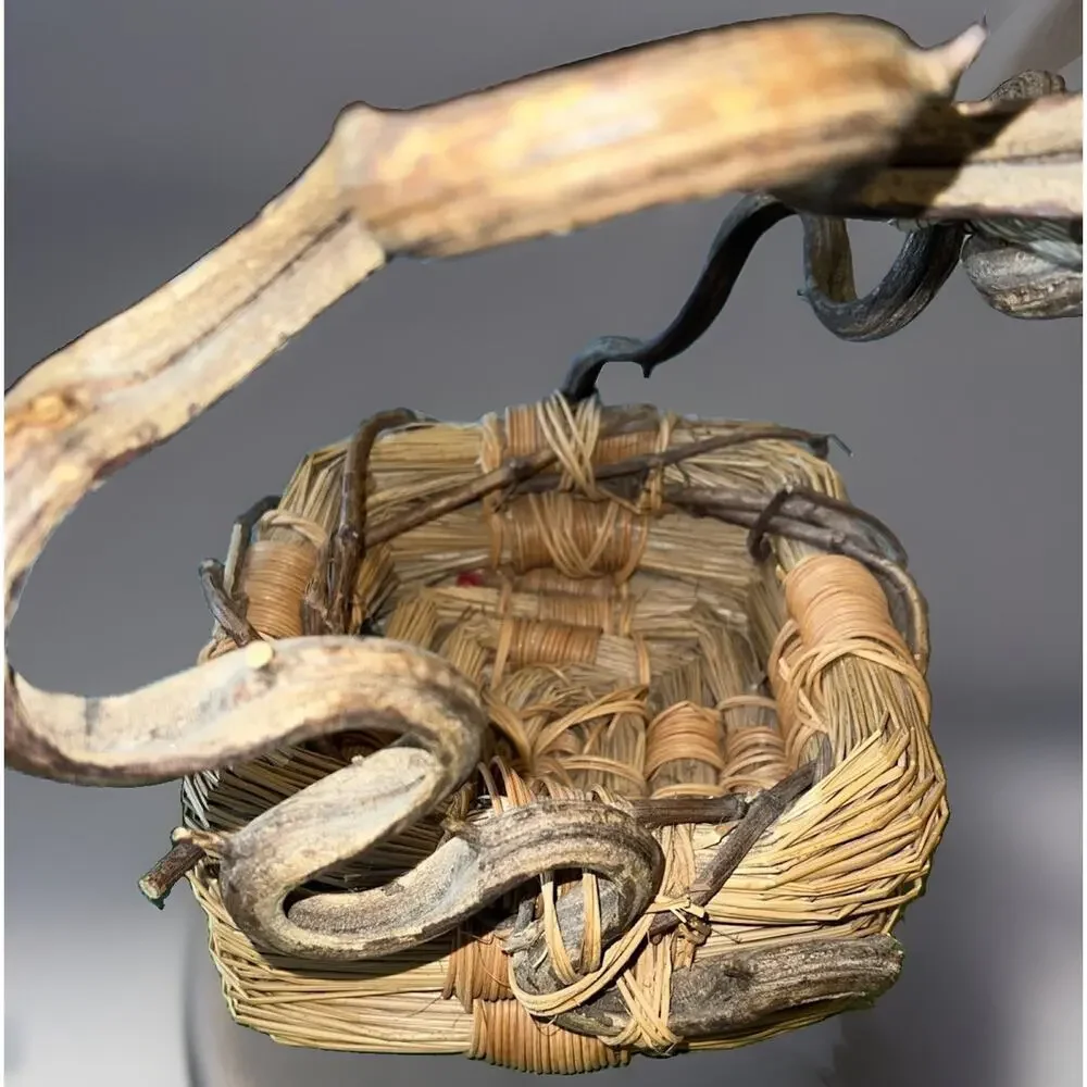 Artisan Vtg Rustic Handwoven Basket Vine Handle Dragonfly Woodland Whimsical